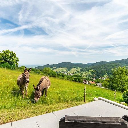 Merzel'S Schone Aussicht Bühlertal Dış mekan fotoğraf