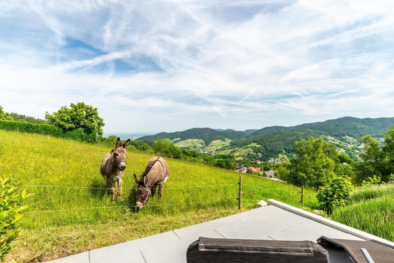 Merzel'S Schone Aussicht Bühlertal Dış mekan fotoğraf