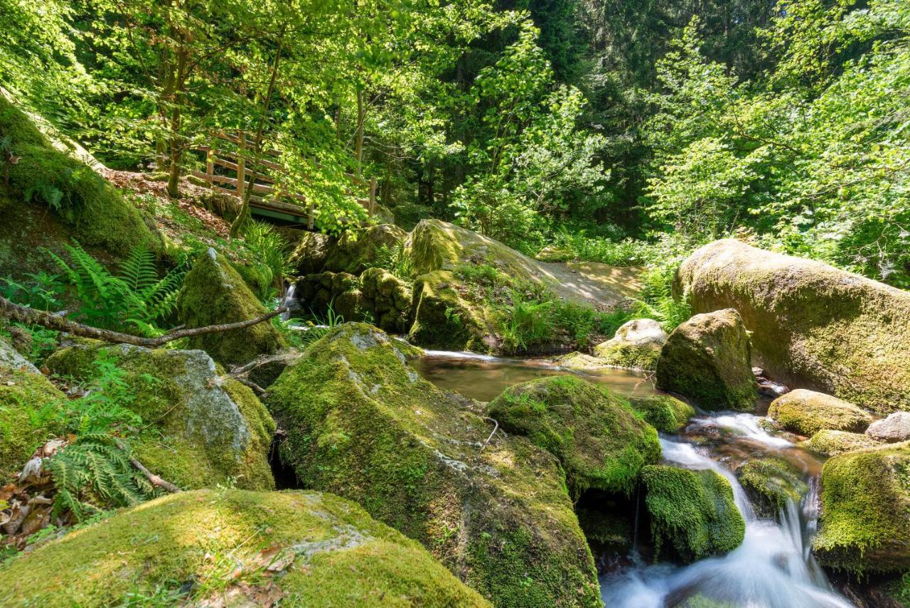 Merzel'S Schone Aussicht Bühlertal Dış mekan fotoğraf